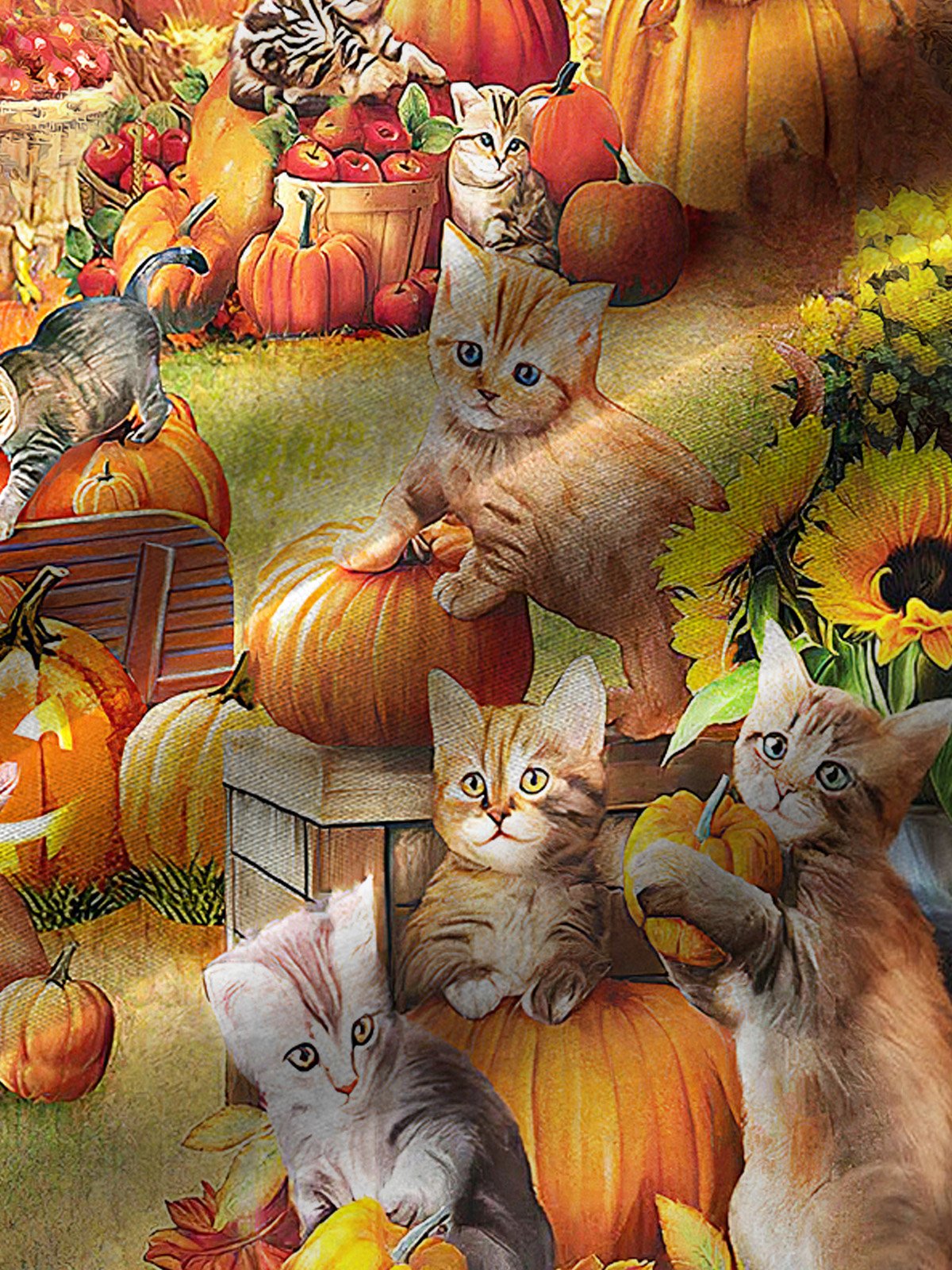 Royaura Halloween Cat Pumpkin Print Men's Button Down Pocket Shirt