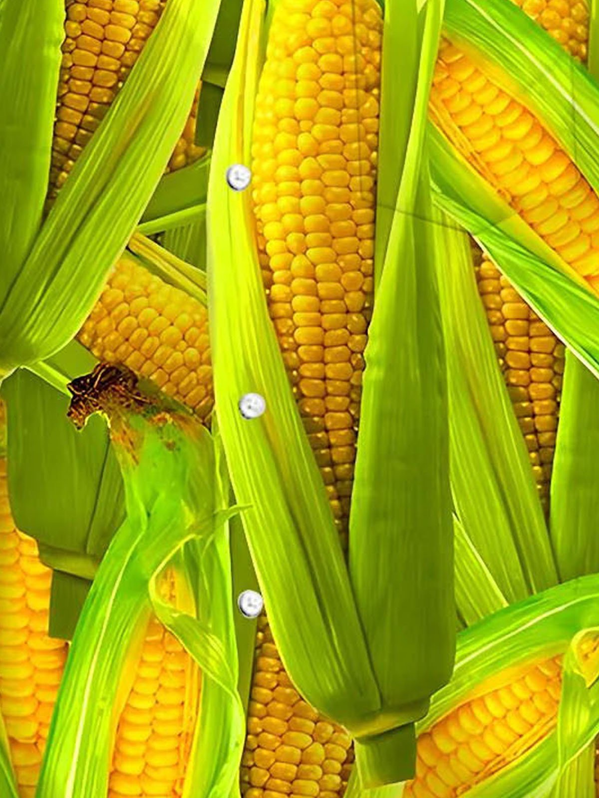 Royaura® Hawaiian Fruit and Vegetable Corn Print Men's Button Pocket Short Sleeve Shirt Big & Tall