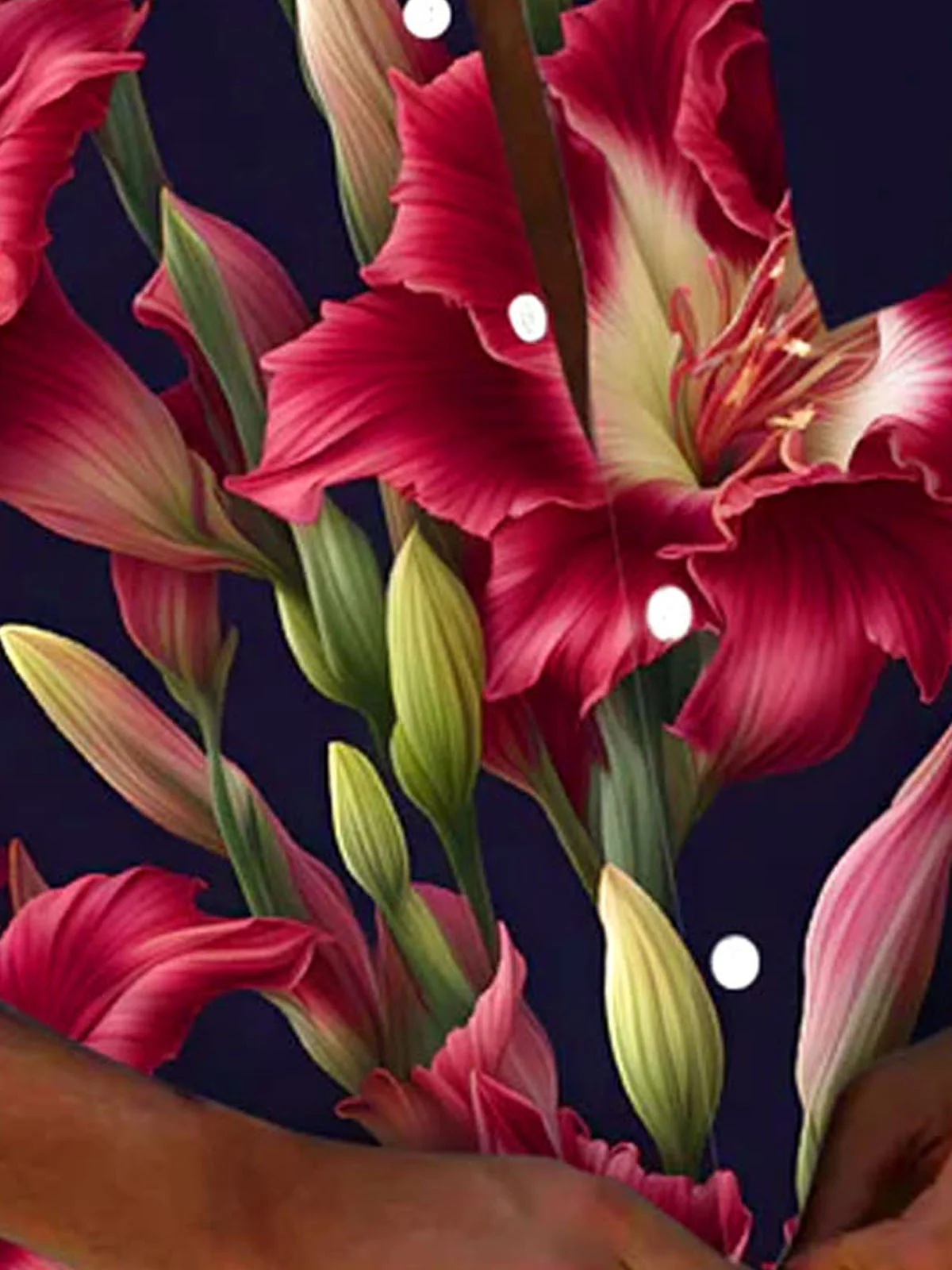 Royaura® Hawaiian Party Floral Print Men's Button Pocket Short Sleeve Shirt Big & Tall