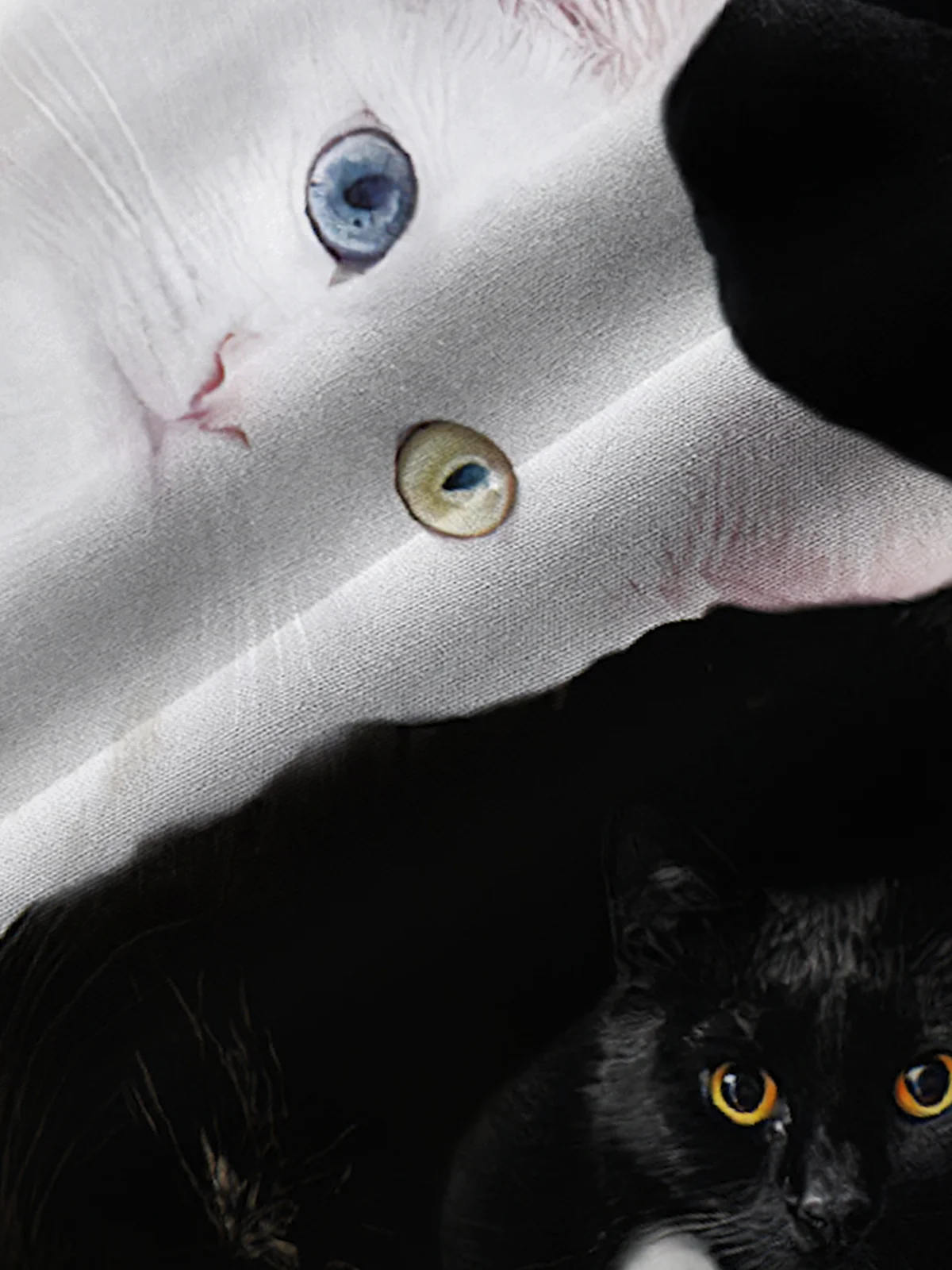 Royaura Cute Black and White Cat Men's Casual Shirt Fun Cartoon Aloha Button Pocket Animal Shirts